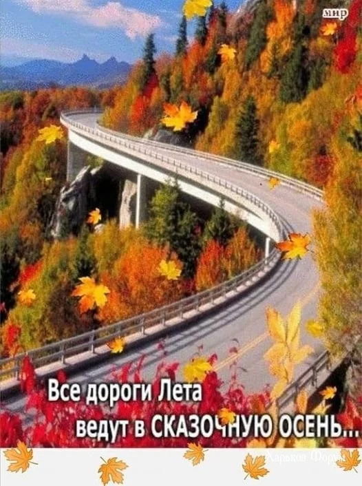 f8db69fde3d58c7d5.webp