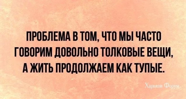 f8e7b319a4d39566fdb.webp