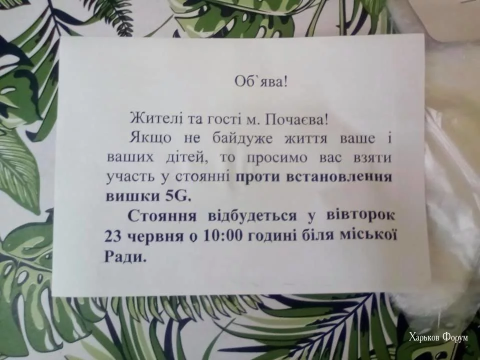 f8e998e884080bb5e5.webp