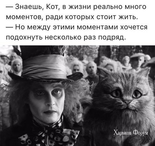 f8f30477cb1320c9ee6.jpg
