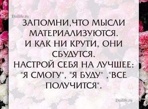 f8f91759288991a20.webp
