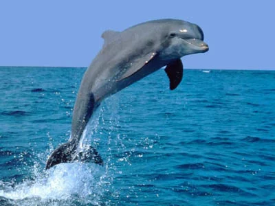 f8fc487037.webp