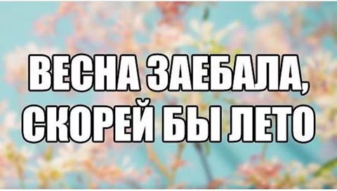 f8ghfh.webp