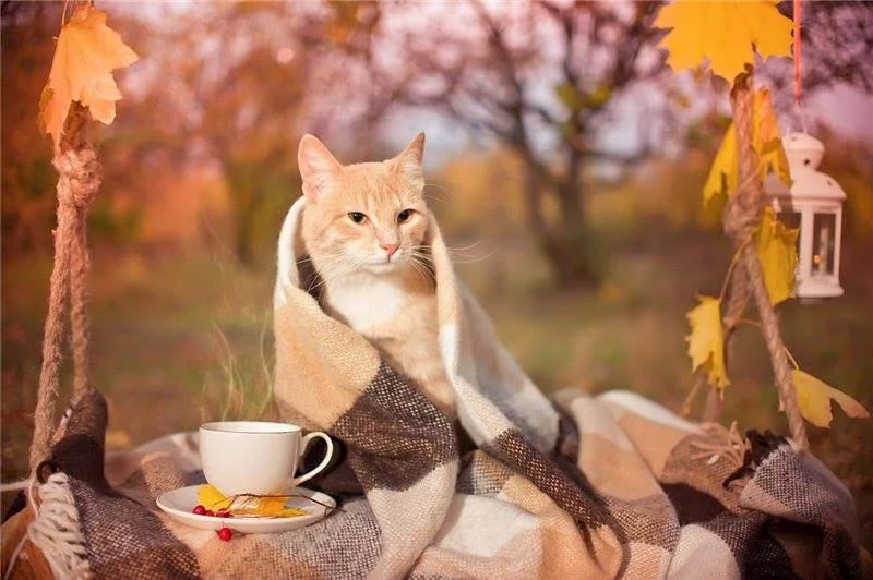 f8jjbh.webp
