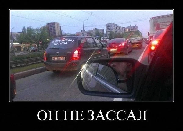 F8YV8Io1pJA.webp