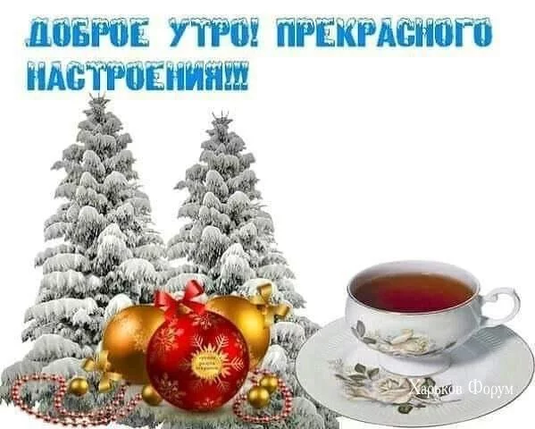 f9096b7a2f91faaecb5.webp
