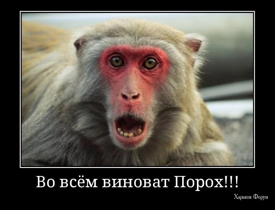 f90ff3a8144047820b.webp