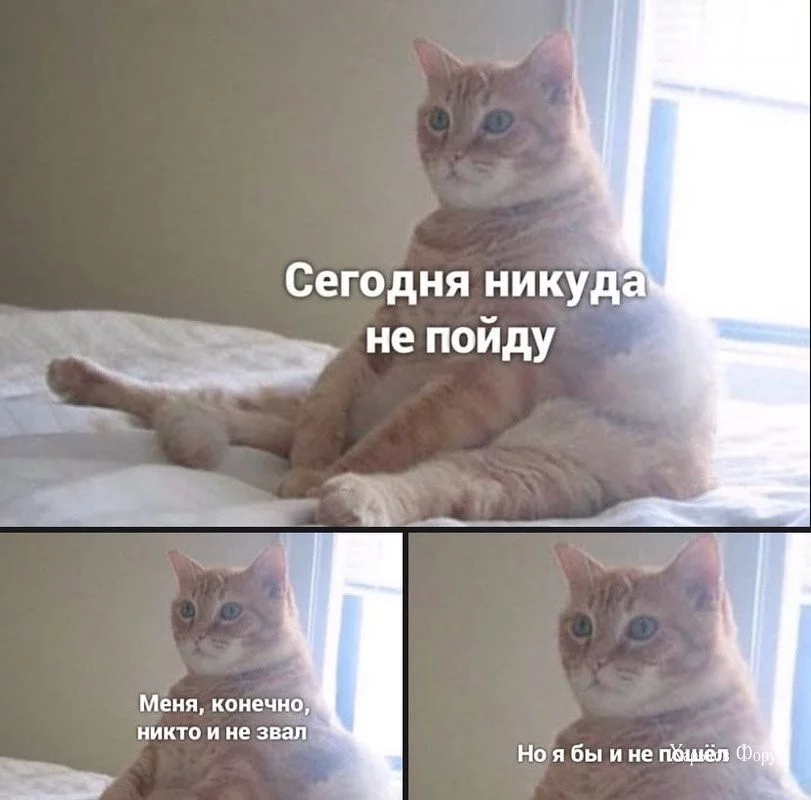 f929ac10d21a4c5a5265.webp