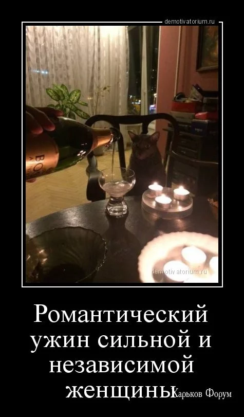 f94a1d04b459095c7.webp