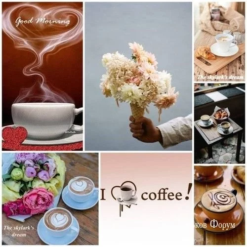 f952dc8e3da58473fbf.webp
