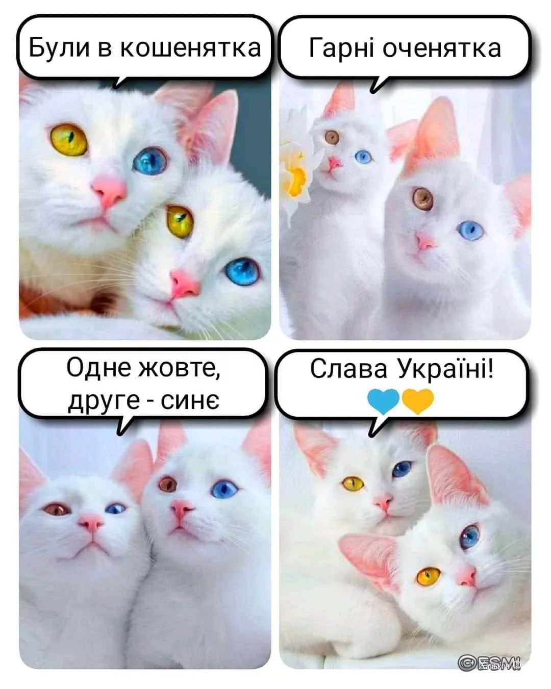 f96b8af7149f2642e6757483.webp
