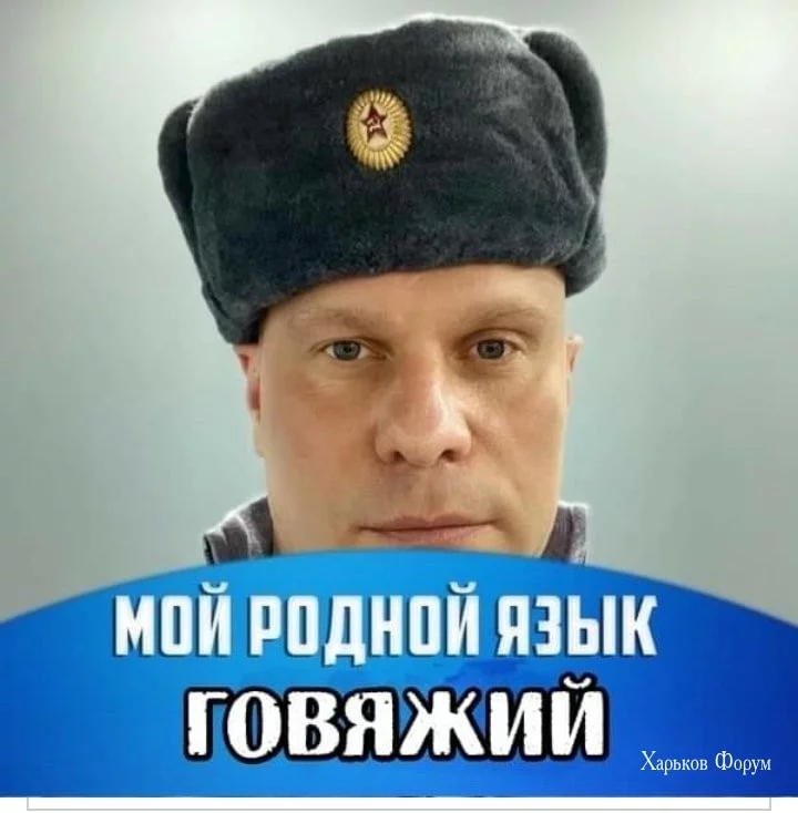 f9782a7e8dbefeec2cb5e9.webp