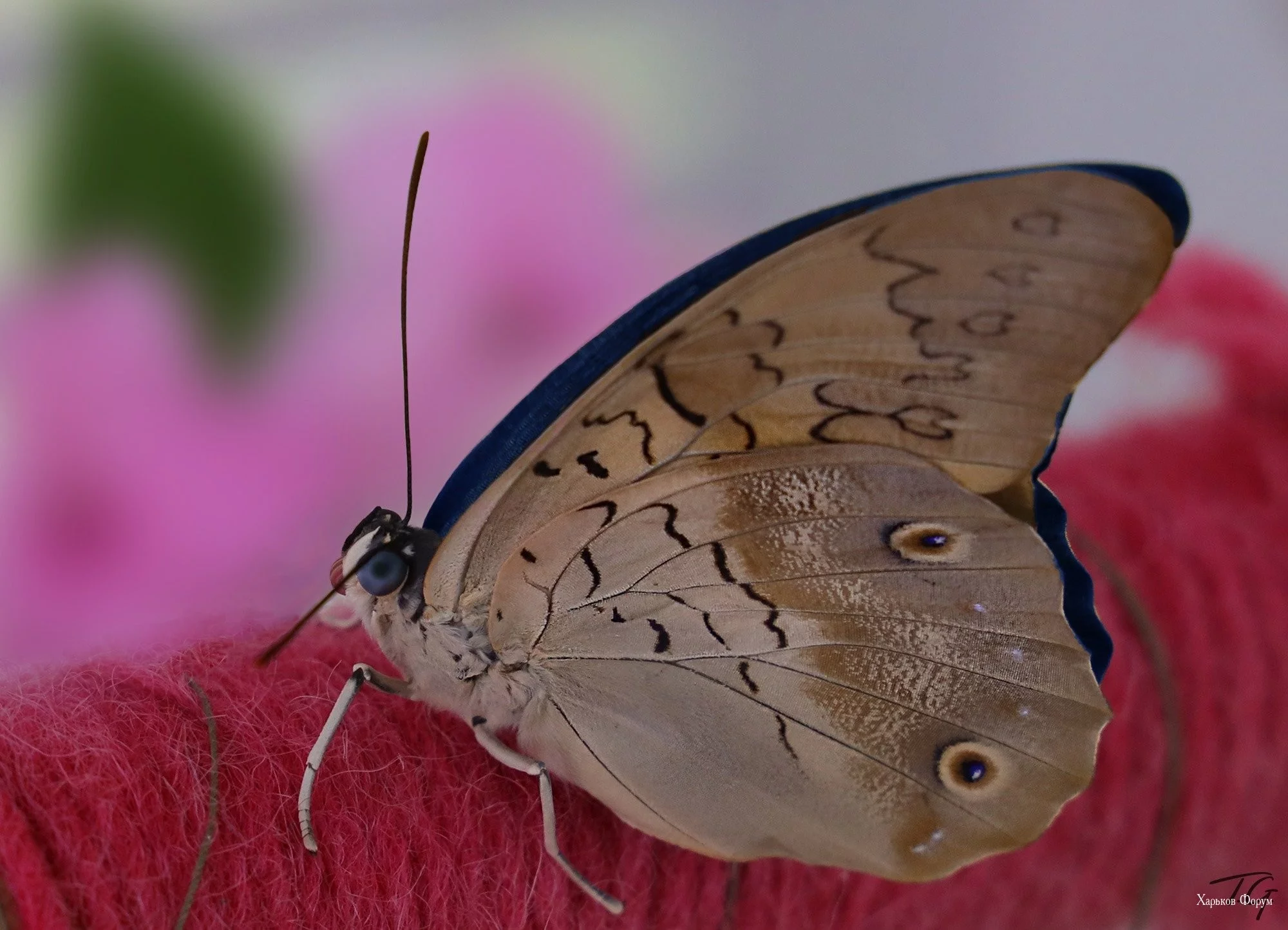 f998e32b6539d406e47.webp