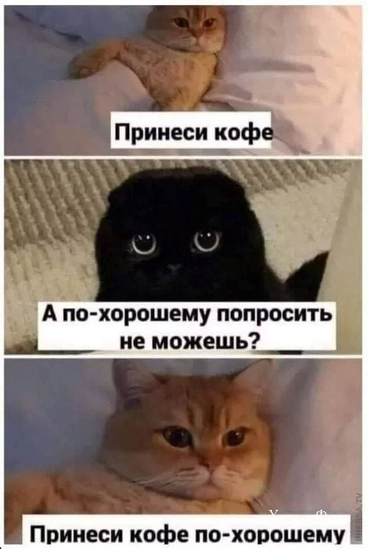 f9a5fd50638b8c257bd096.webp