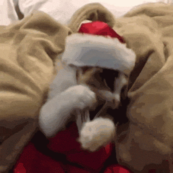 f9b80835dde7f24436a4b.gif
