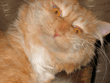 f9c4f6930e938f3e6d5381f81c6378bf.gif