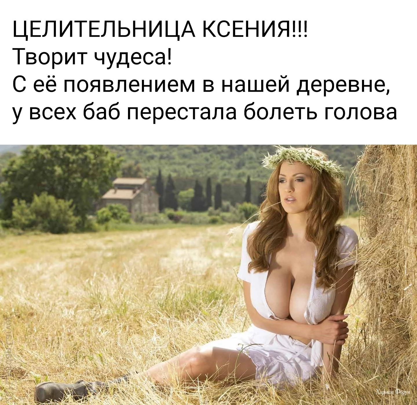 f9d1427896f4fe7e7880eb.webp