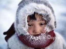 f9da165225aa8346c2da6.webp