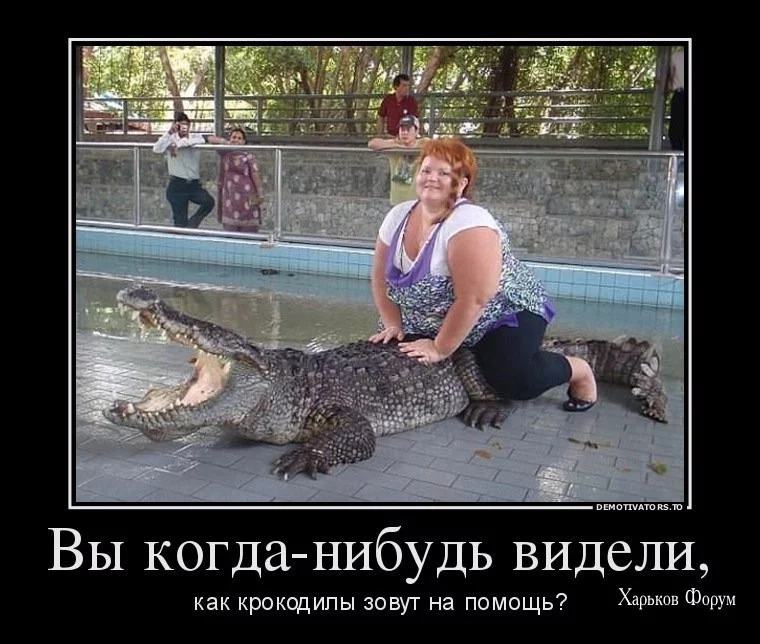 f9e619508e43ef4e8beaa1.webp
