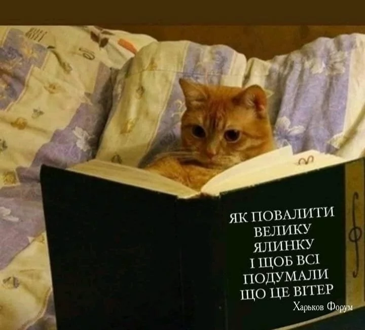 f9e6423636f6041016b58.webp