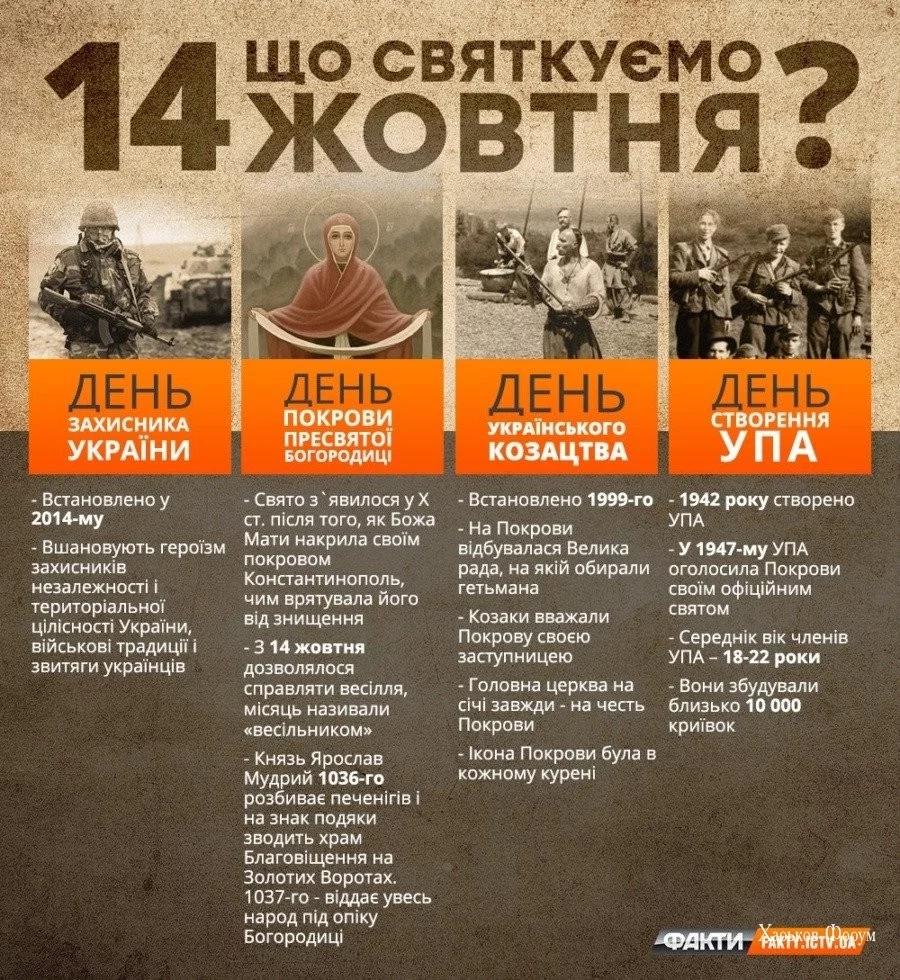 f9e6a313d050608828024665.webp