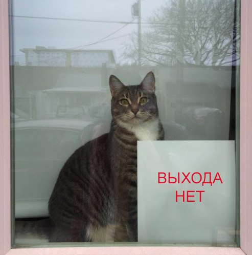 F9EM2Nl2EDM.jpg