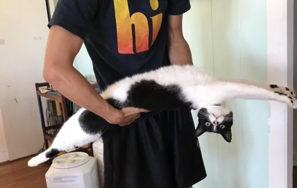 f9fegf.webp