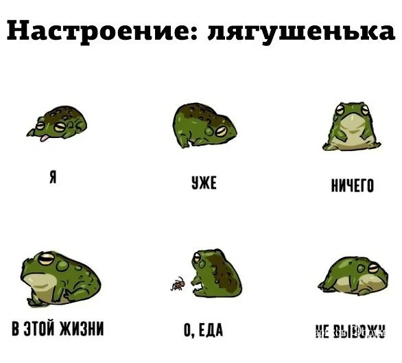 f9ff6571c1e03b74.webp
