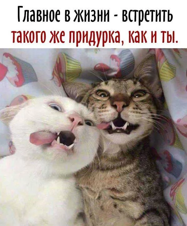 f9jjhb.webp