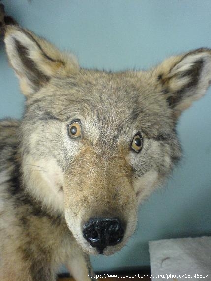 f_11176280.jpg