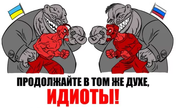 f_14558588.webp
