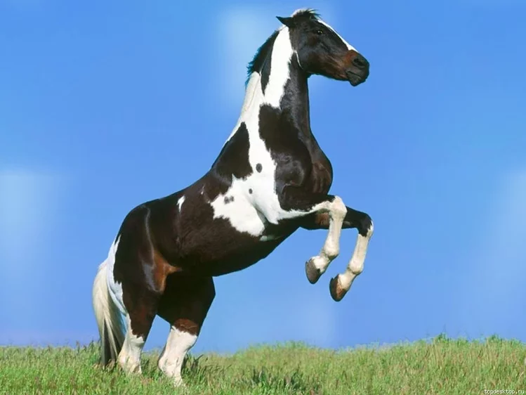 f_15733182.webp