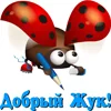 f_47fe2573e111a.webp