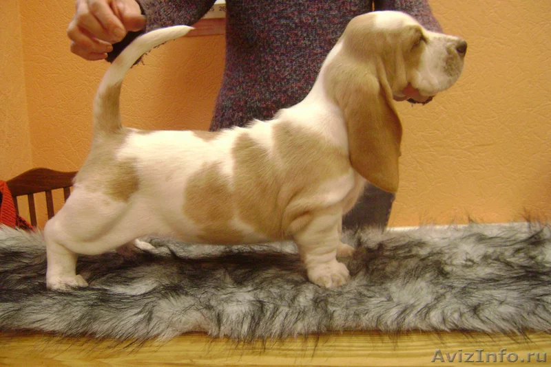 f_dsc04543_20100804155150.webp