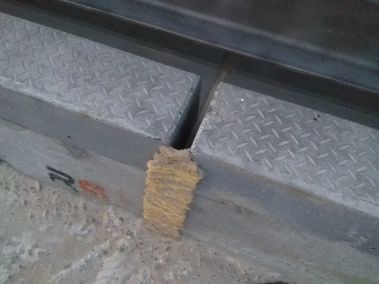 f_Xgp_W4q686k.webp