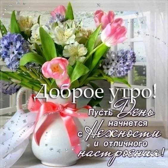 fa0bef280b1604da530.webp