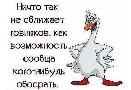 fa0hgc.webp