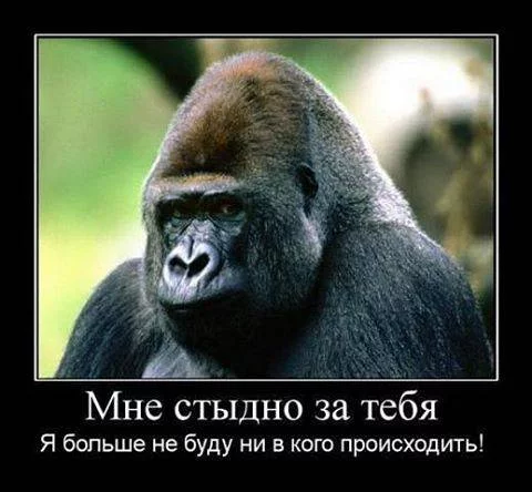 fa1bgd.webp