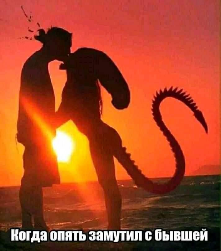 fa2bce.jpg