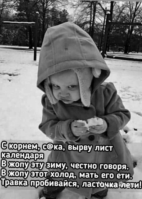 fa5c8559ec9f9522e5.webp