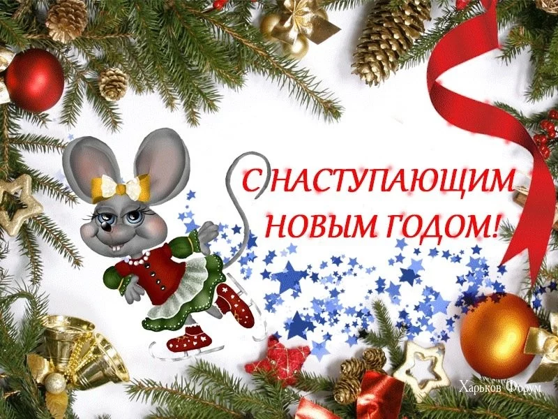fa73ee9726ba182d63fd.webp