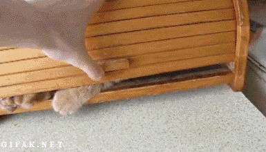 fa7fha.gif
