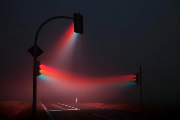 fa83Sp71hZU.webp