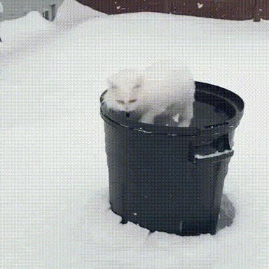fabje2.gif
