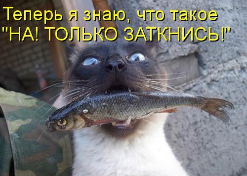 facah7.jpg