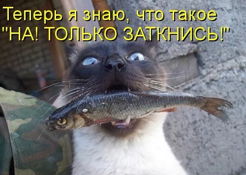 facah7.webp