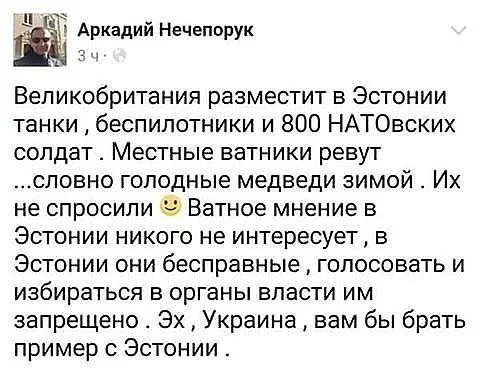 facbg0.webp