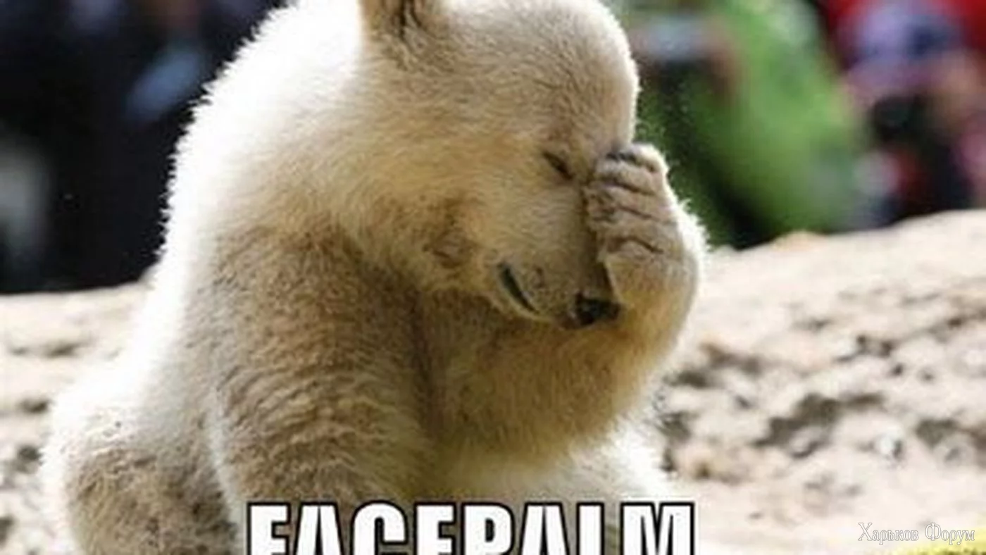 facepalm-1.0.webp