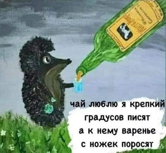 fad3596badcbaf4810508.webp