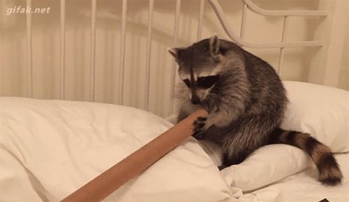 faed3e48adbd365c.gif